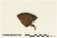 藏品(叢苔科)的圖片